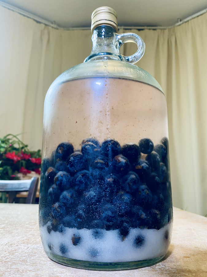 az összeállytott anyag sloe gin készítése