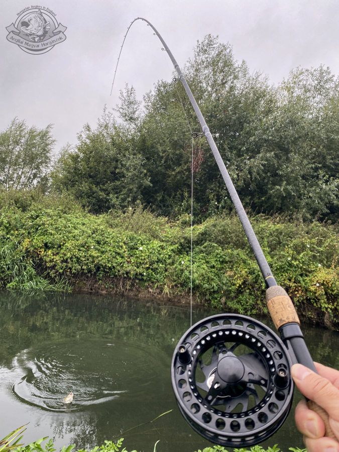 Karikába hajlott Drennan Acolyte Plus 14' úsztatóbot, Raven T-4 centrepin orsó