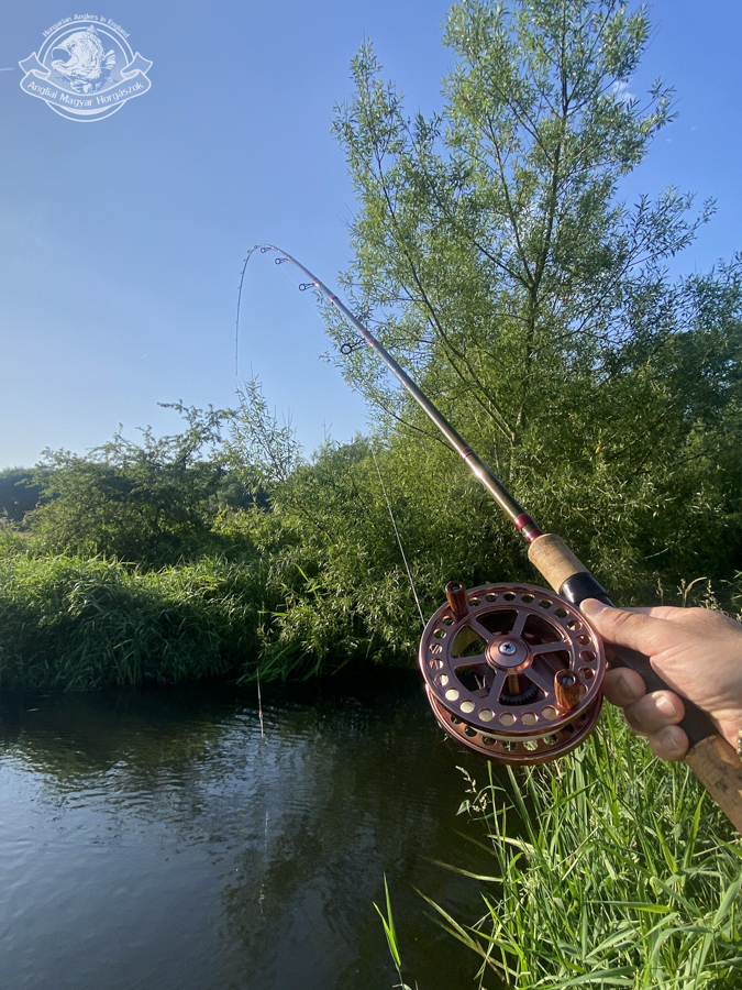 Fárasztás közben a JW Young 13–15' Trotter úsztatóbot és az Ikonix centreoin orsó
