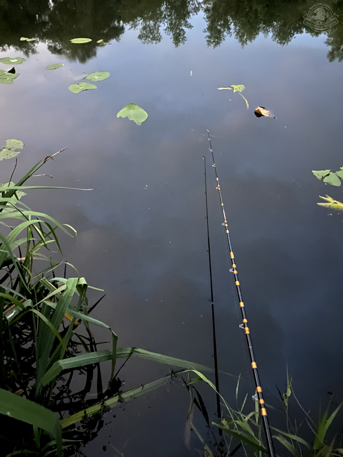 Allcock Gloria nádbot