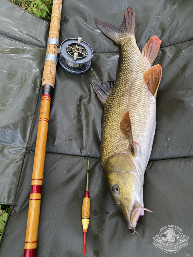 James Aspindale & Sons által készített korabeli nád úszatóbot, Allcock Aerial Popular centrepin orsó, VintageMan Mayor klaszikus horgászúszó és egy testes márna