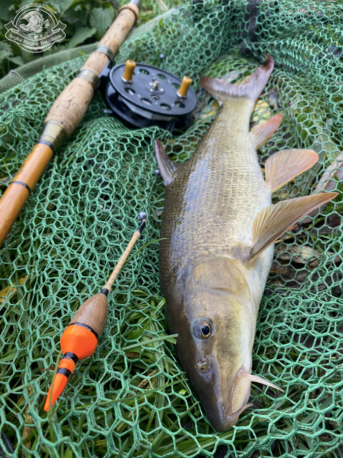 Dawson of Bromley Rival nádbot és a WR Speedia centrepin orsó,mellete szép aranyszínű márna