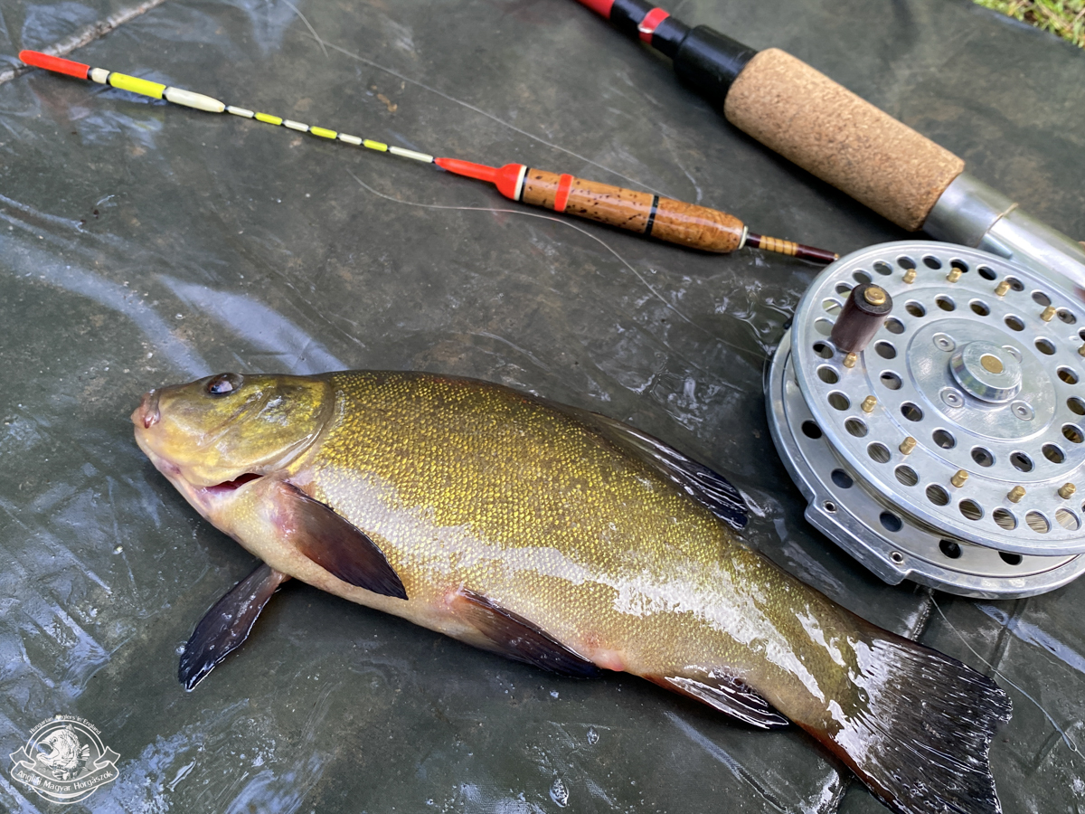 Hokév Velence horgászbotot, Captain centrepin orsót, Captain úszóval és compóval