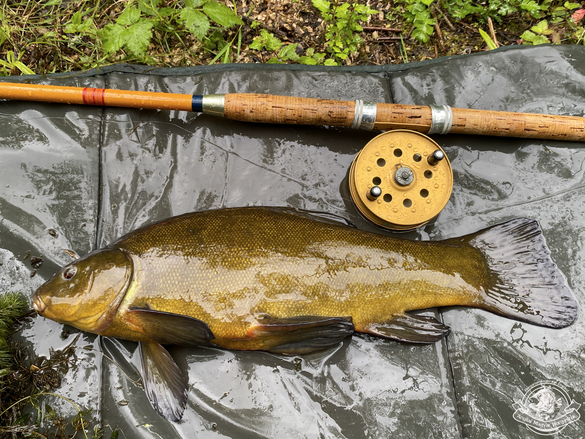 Strike Right Ultraflo orsó, Fenland F. Clayton Boston bot, melette hatalmas angol compó