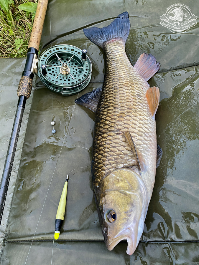 J.W. Young – John Wilson Heritage centrepin orsó, Drennan Tench & Specimen Float 13' és egy csodaszép domyolykó
